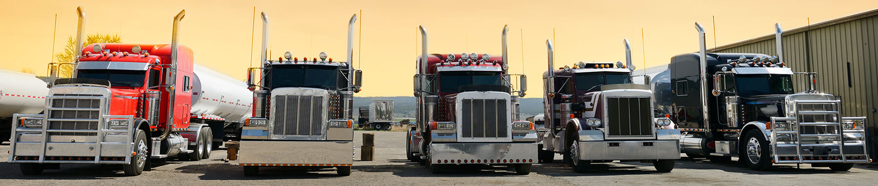 row of trucks Ray's Auto Sales and Equipment Inc
